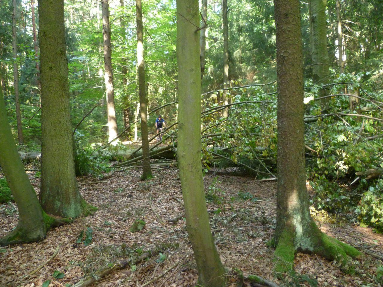 Bild vergr&ouml;ssern