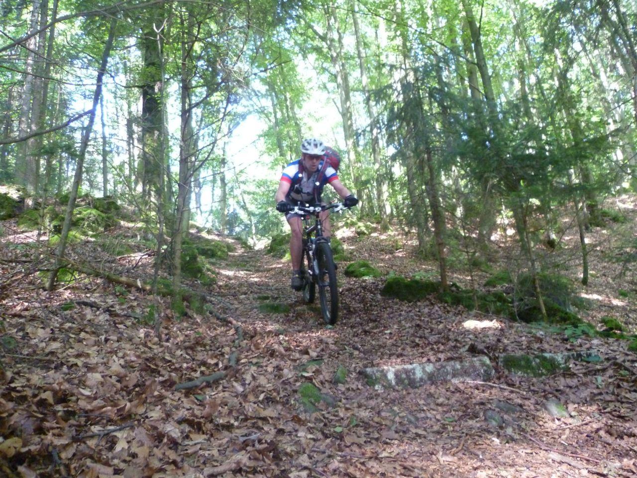 Bild vergr&ouml;ssern