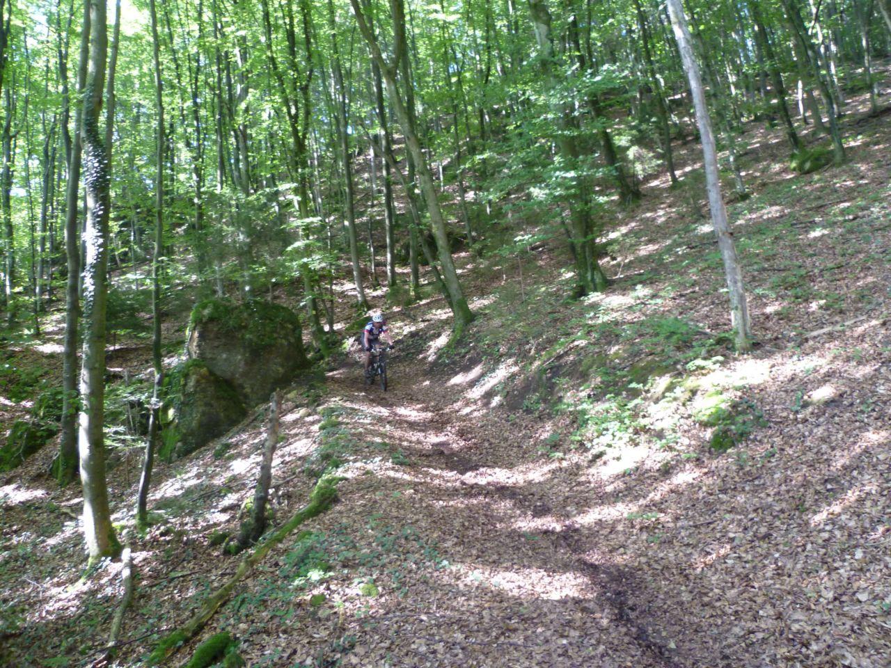 Bild vergr&ouml;ssern