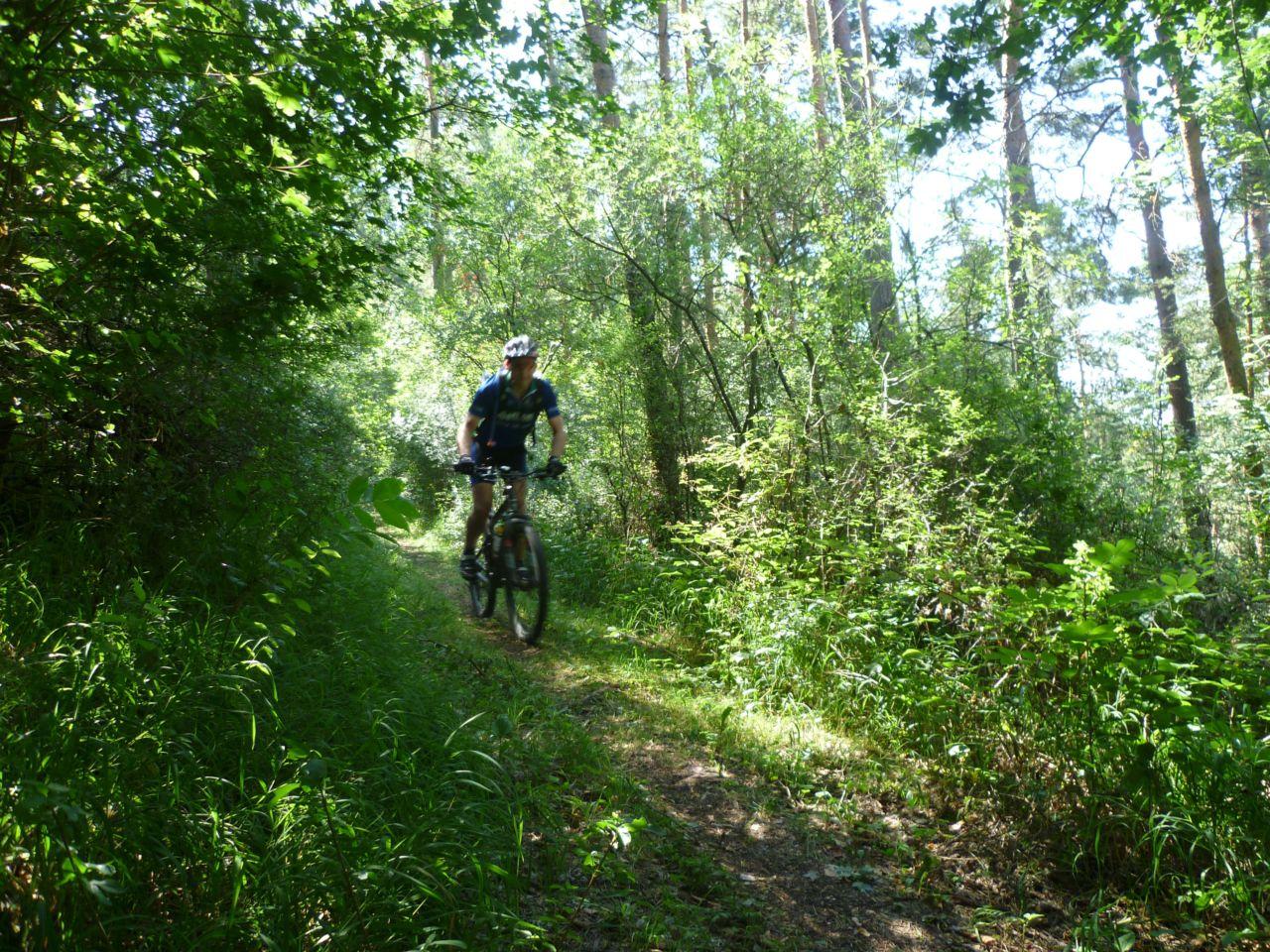 Bild vergr&ouml;ssern