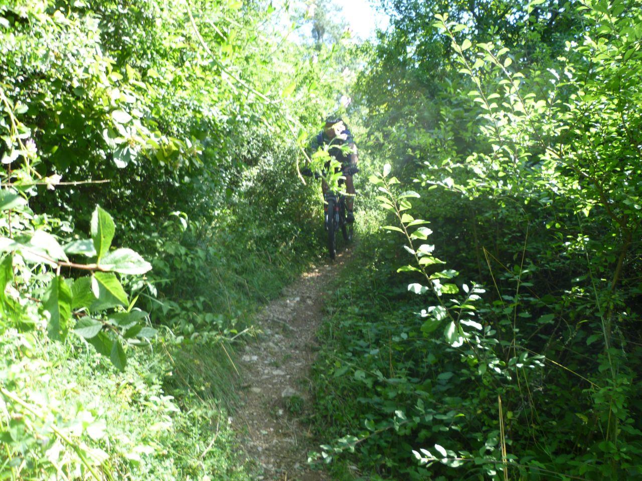 Bild vergr&ouml;ssern