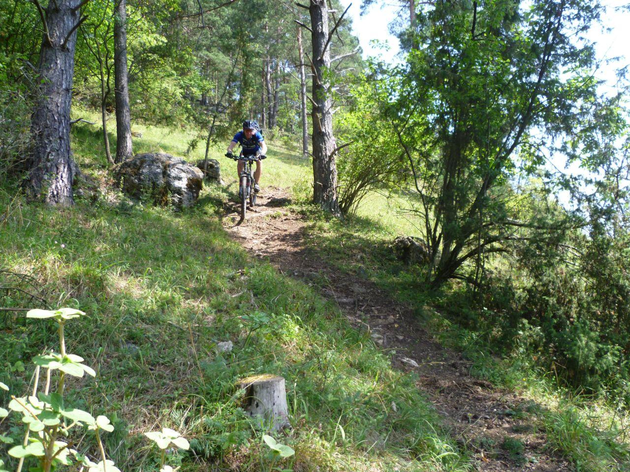 Bild vergr&ouml;ssern