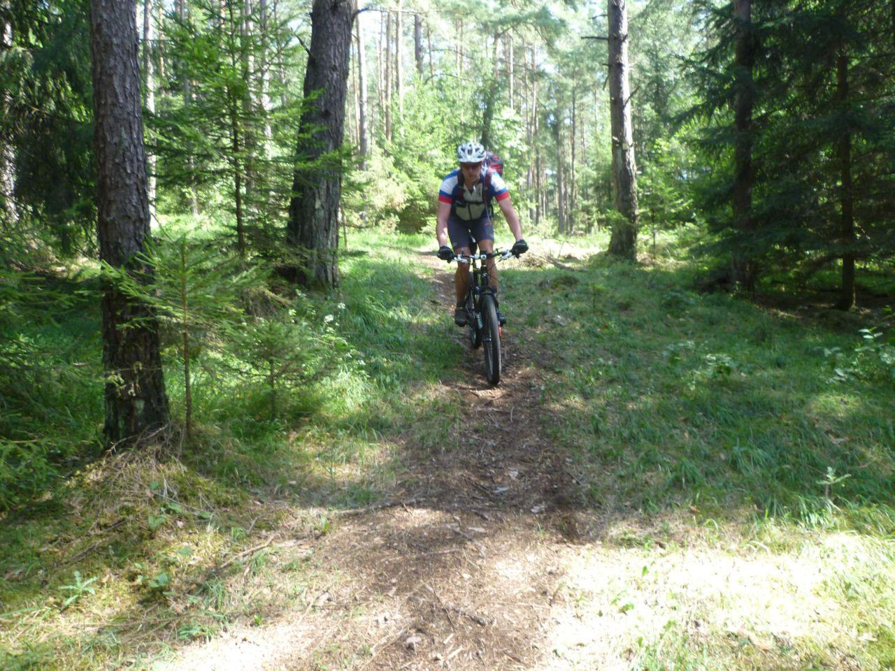 Bild vergr&ouml;ssern