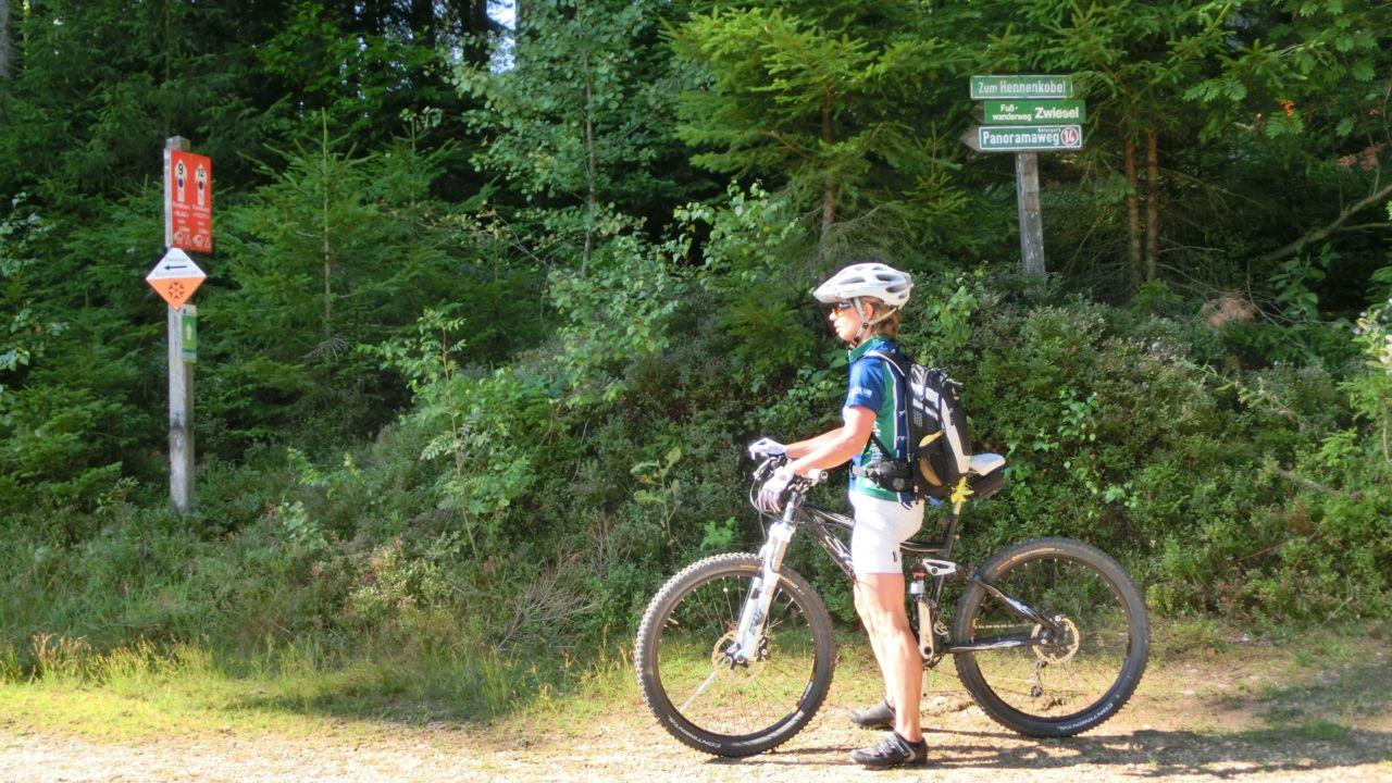 Bild vergr&ouml;ssern