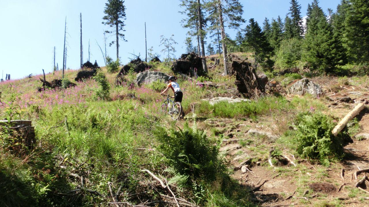 Bild vergr&ouml;ssern