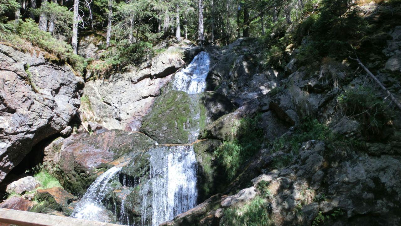 Bild vergr&ouml;ssern