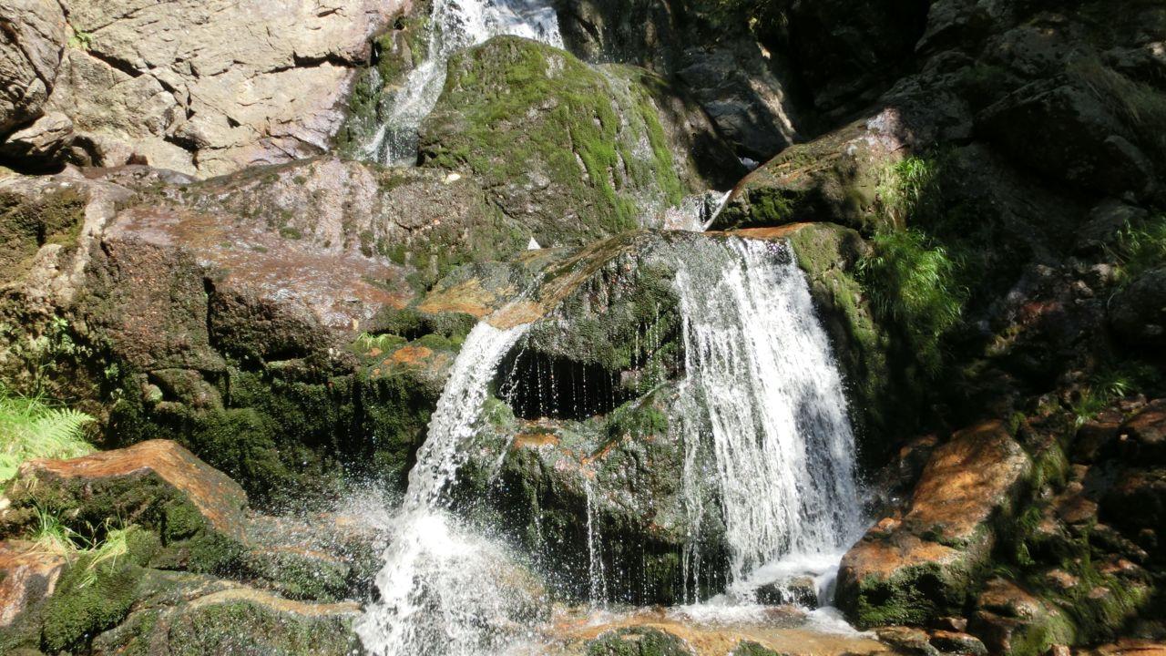 Bild vergr&ouml;ssern