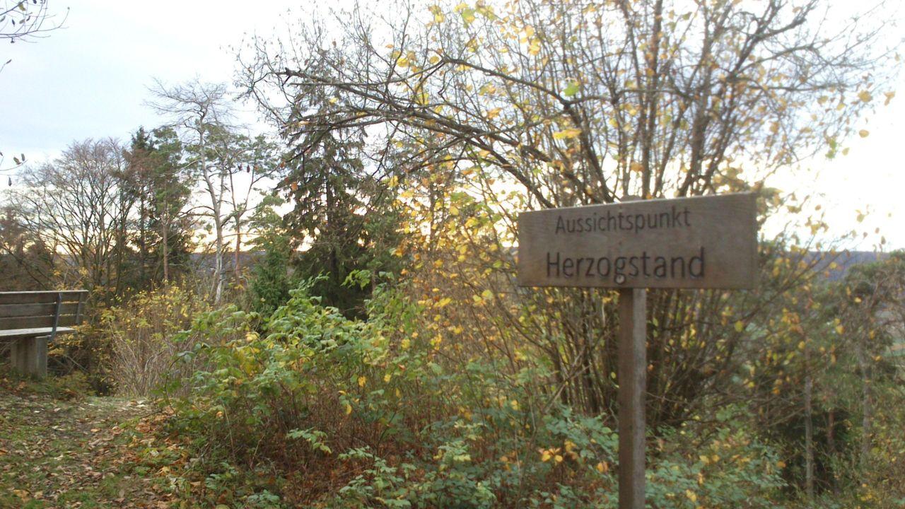 Bild vergr&ouml;ssern