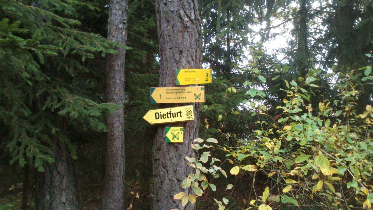 Bild vergr&ouml;ssern