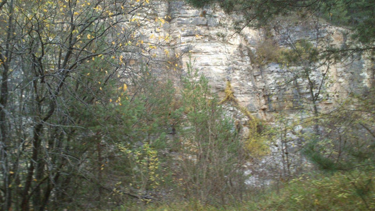 Bild vergr&ouml;ssern