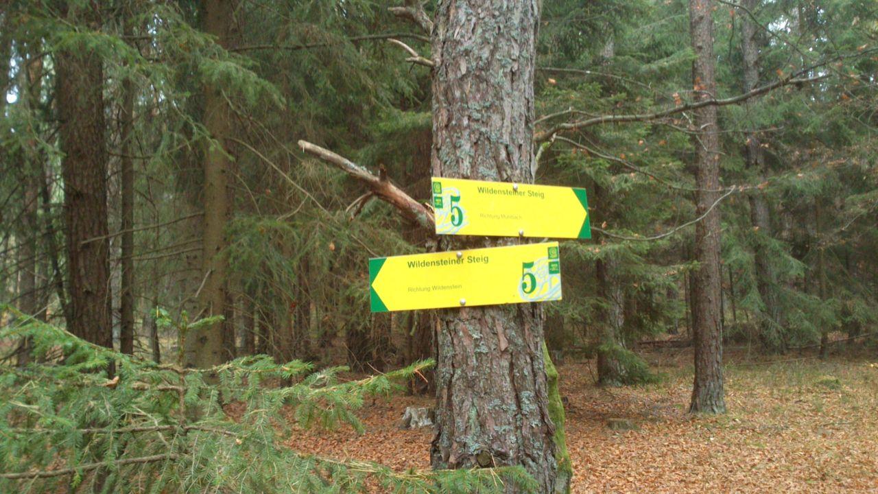 Bild vergr&ouml;ssern