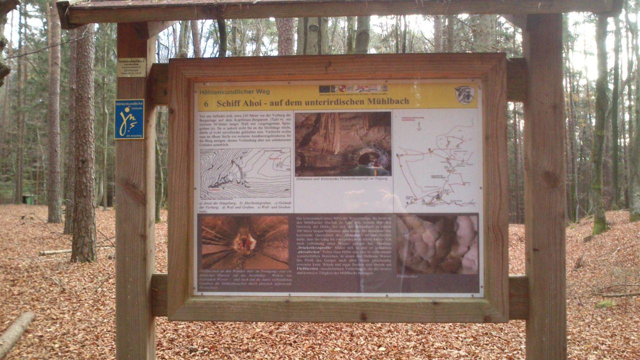 Bild vergr&ouml;ssern