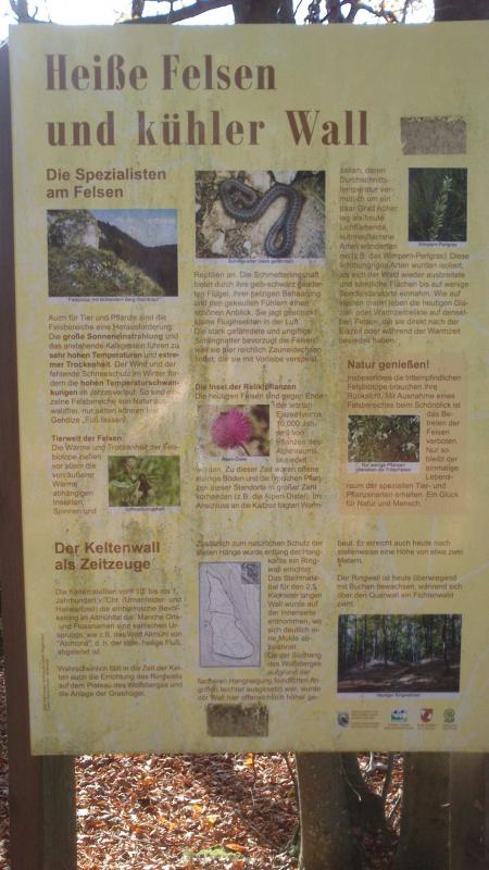 Bild vergr&ouml;ssern