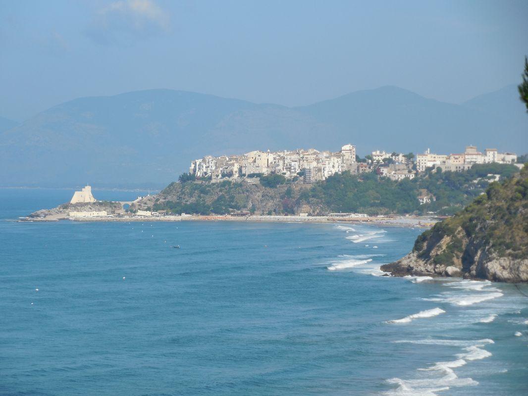 Bild vergr&ouml;ssern