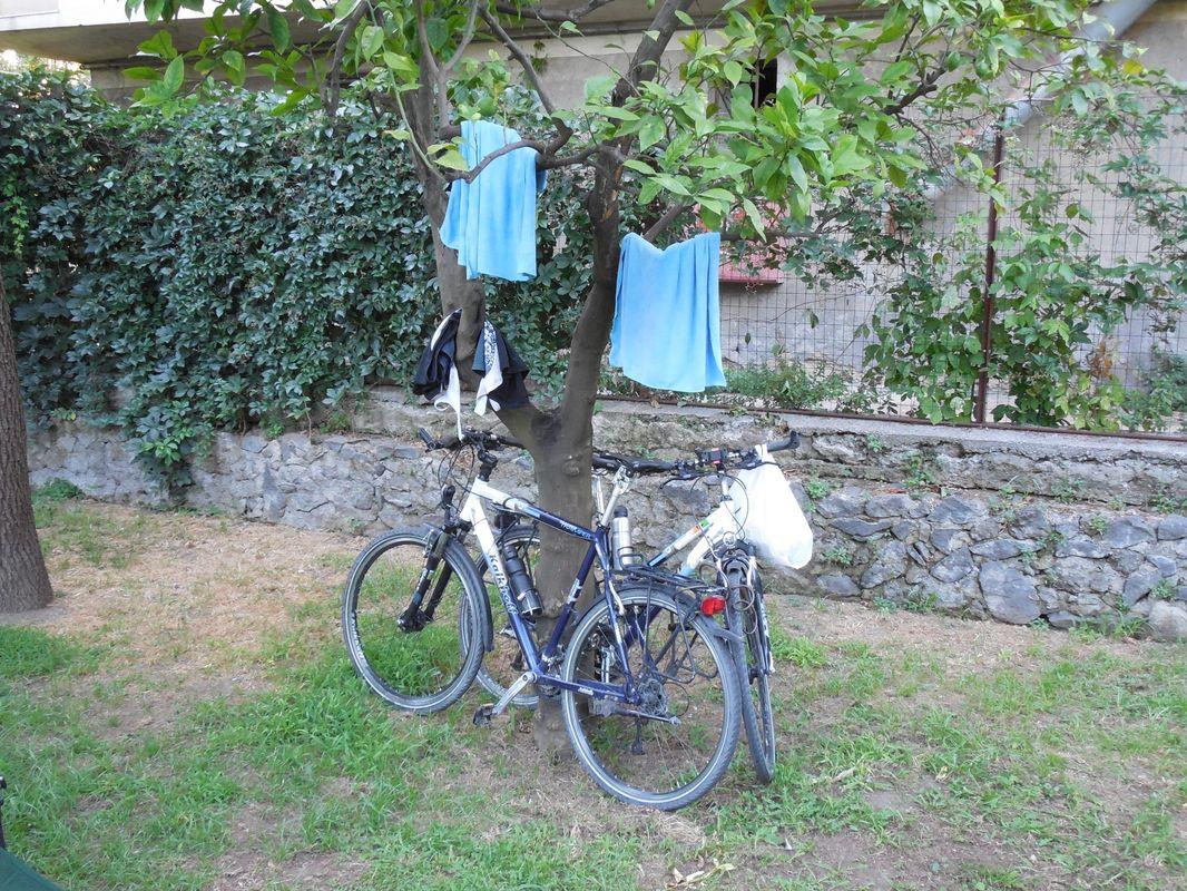 Bild vergr&ouml;ssern