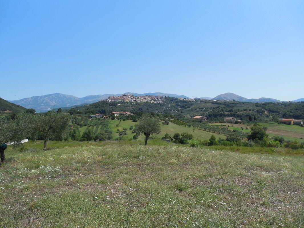 Bild vergr&ouml;ssern