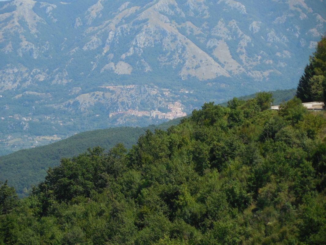 Bild vergr&ouml;ssern