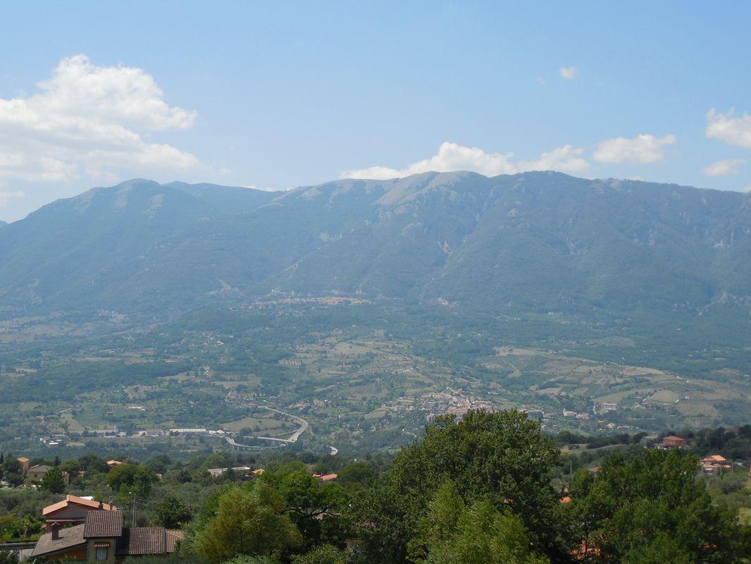 Bild vergr&ouml;ssern