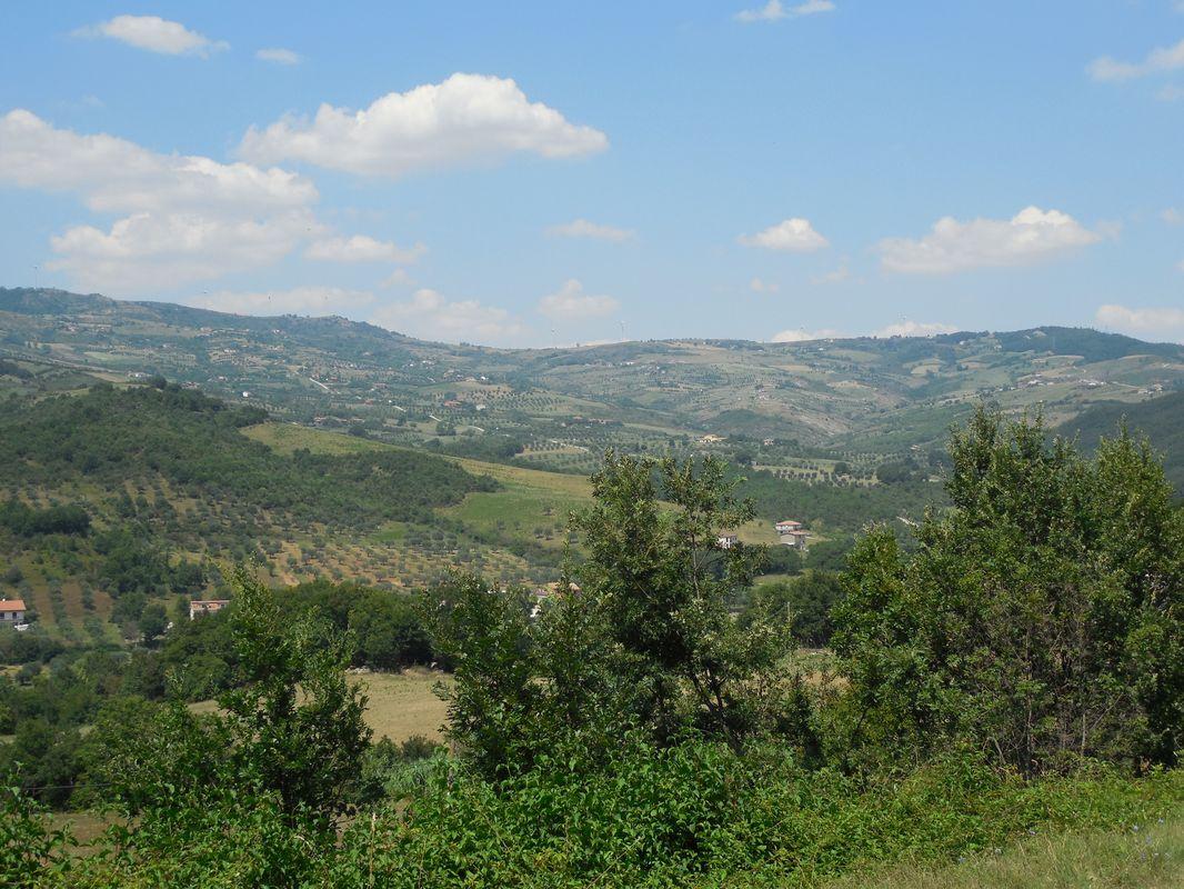 Bild vergr&ouml;ssern