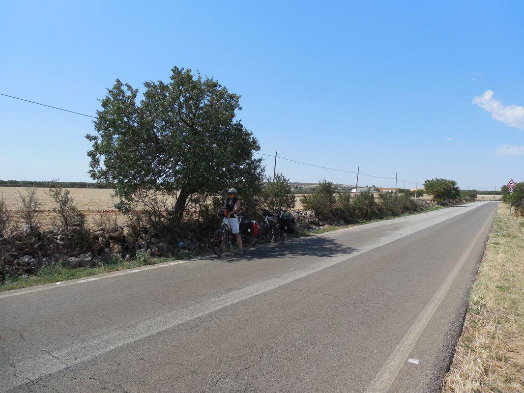 Bild vergr&ouml;ssern