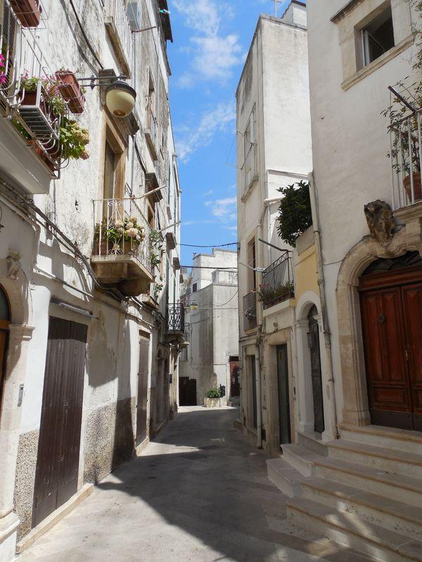 Bild vergr&ouml;ssern