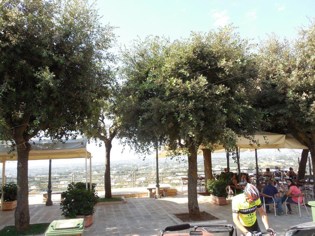 Bild vergr&ouml;ssern