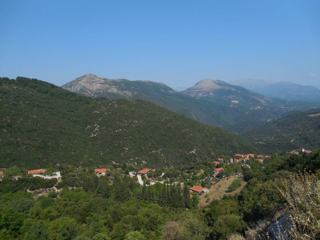 Bild vergr&ouml;ssern