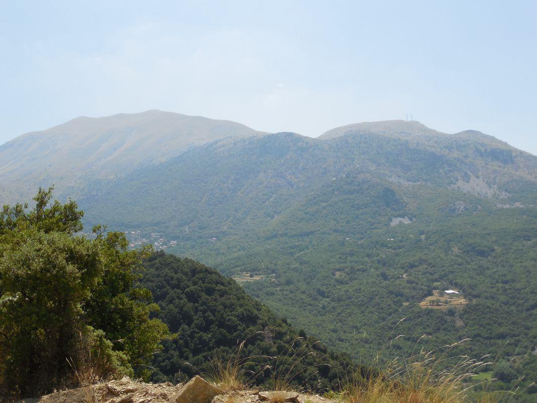 Bild vergr&ouml;ssern