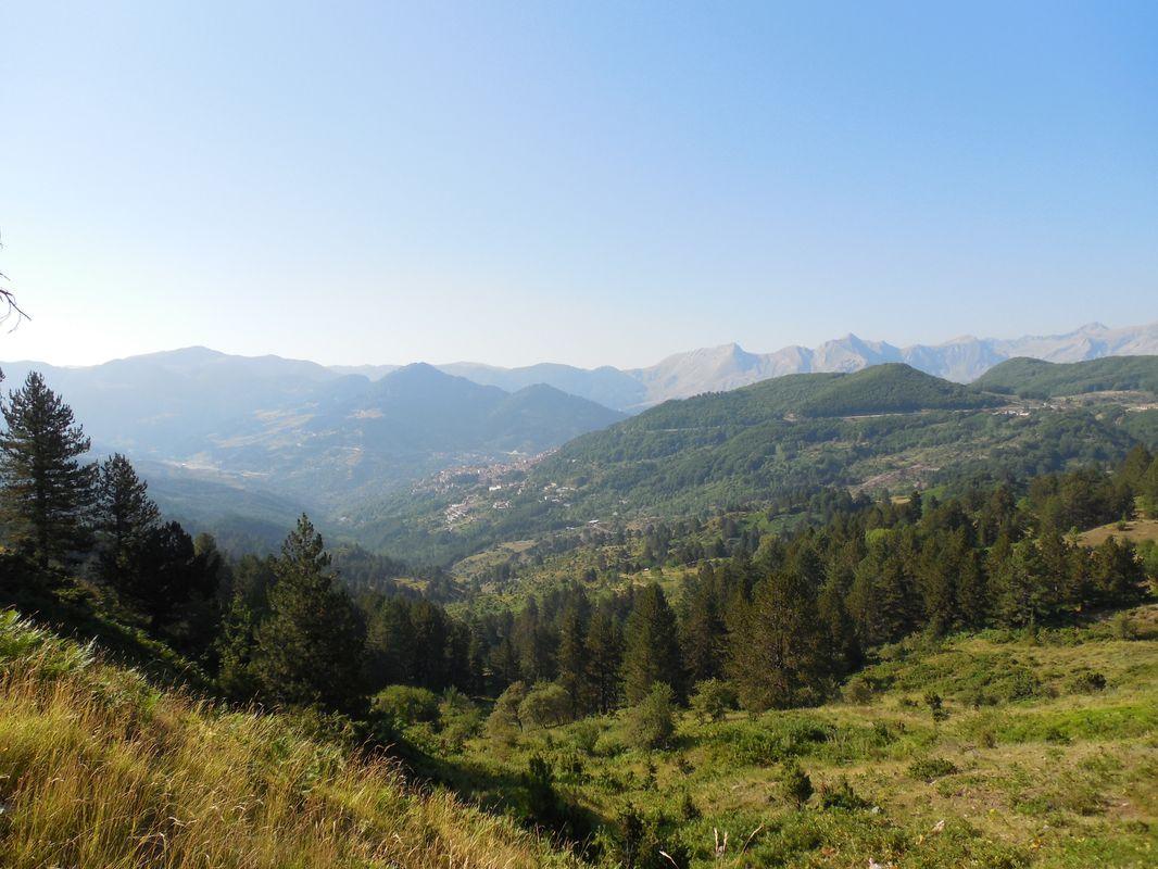 Bild vergr&ouml;ssern