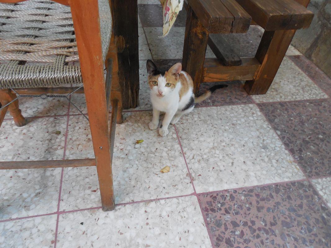 Bild vergr&ouml;ssern