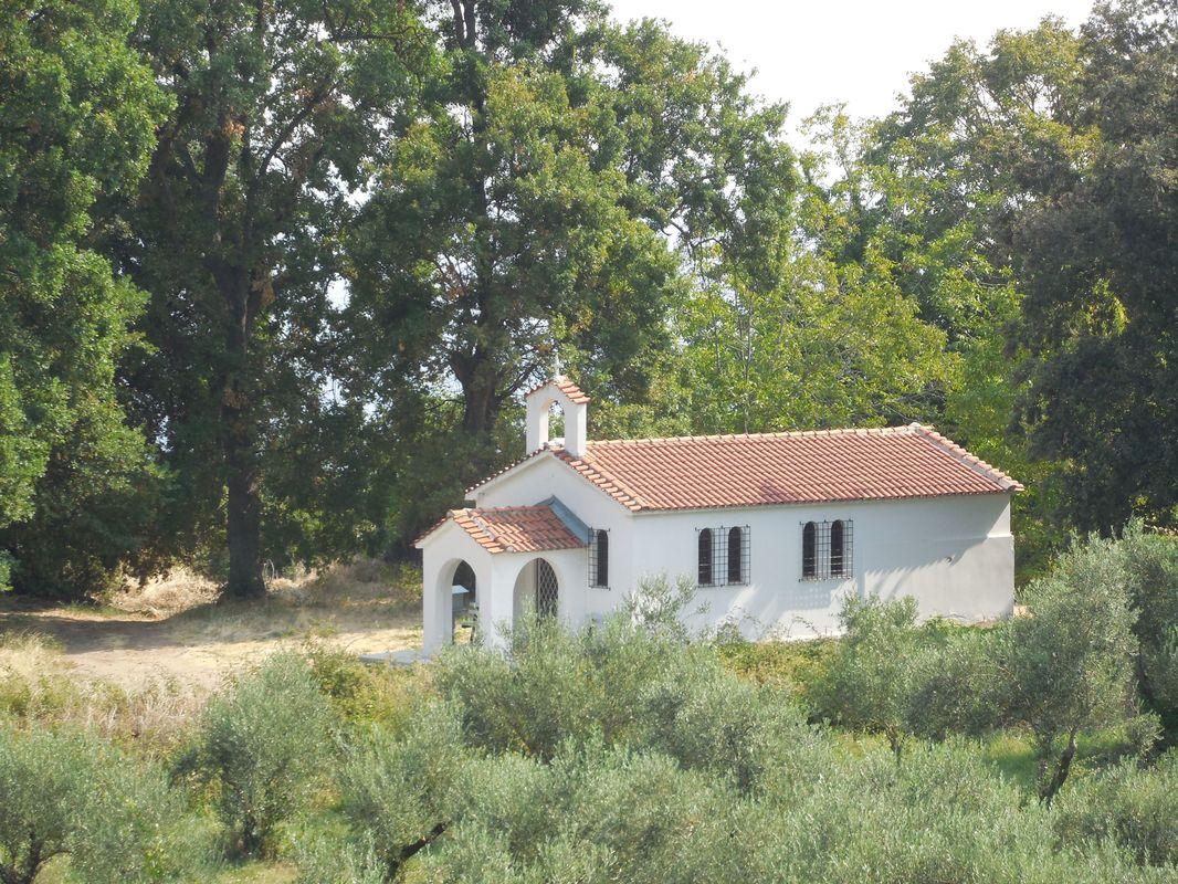 Bild vergr&ouml;ssern