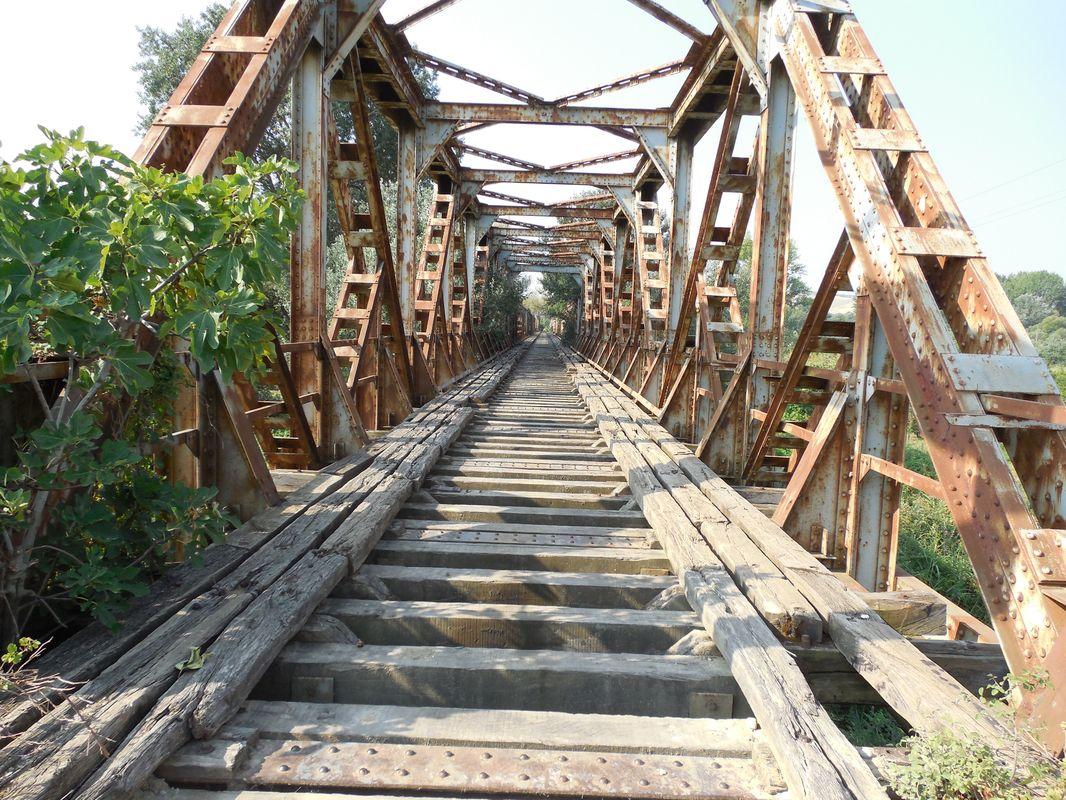 Bild vergr&ouml;ssern