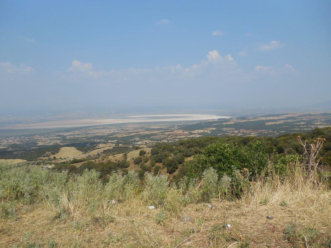 Bild vergr&ouml;ssern