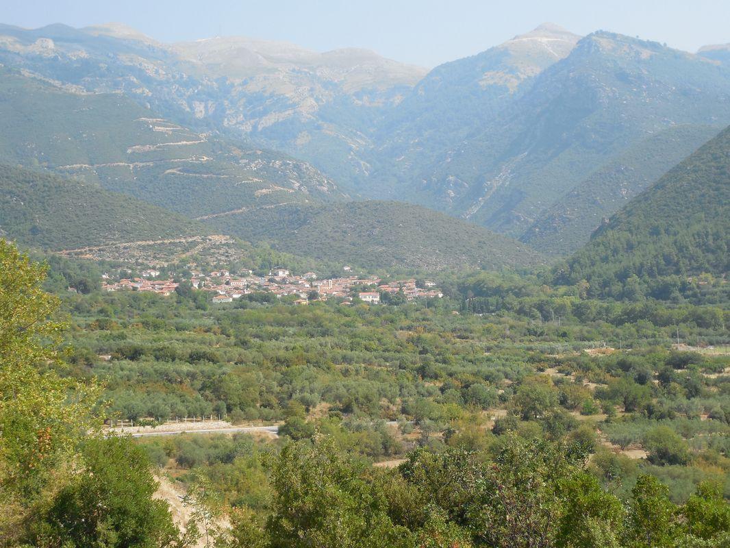 Bild vergr&ouml;ssern