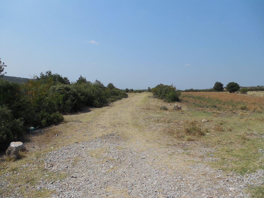 Bild vergr&ouml;ssern