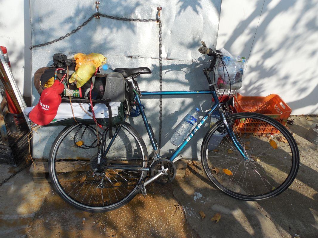 Bild vergr&ouml;ssern