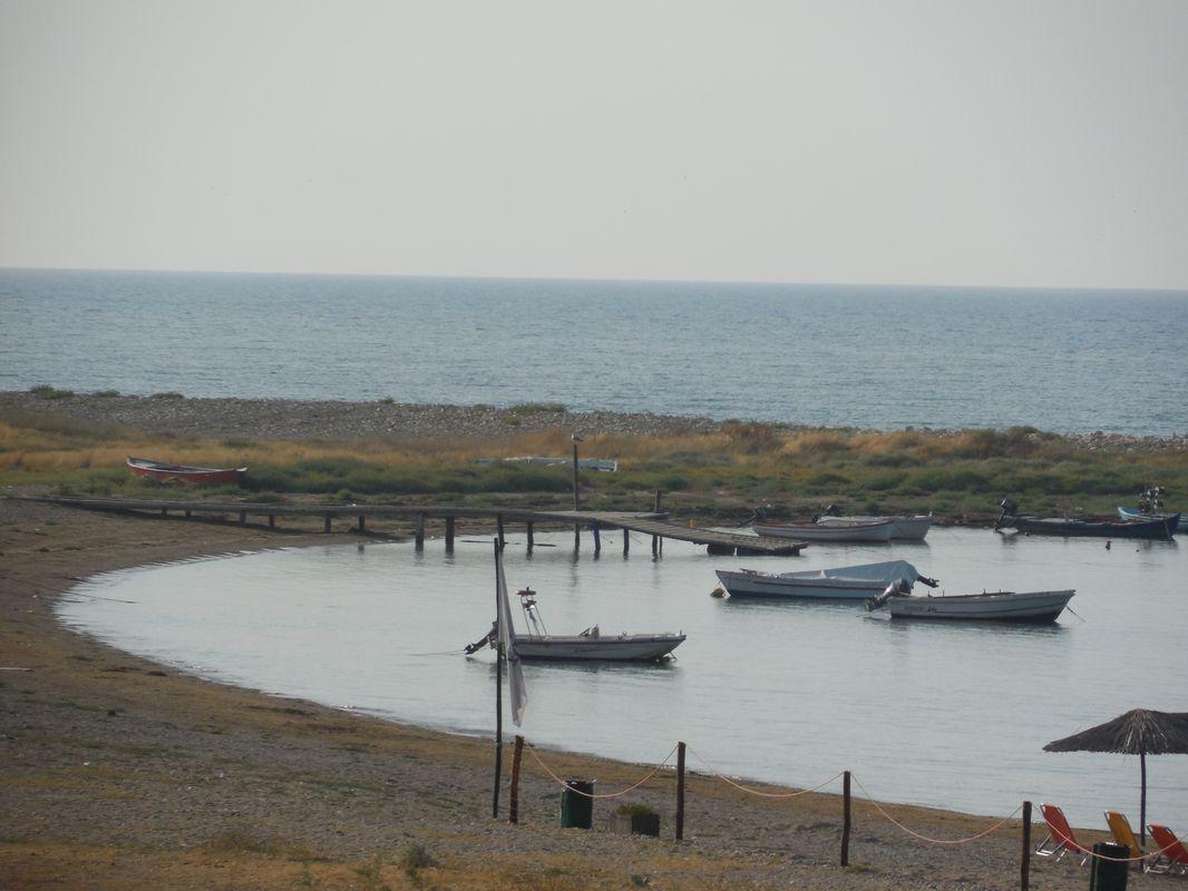 Bild vergr&ouml;ssern