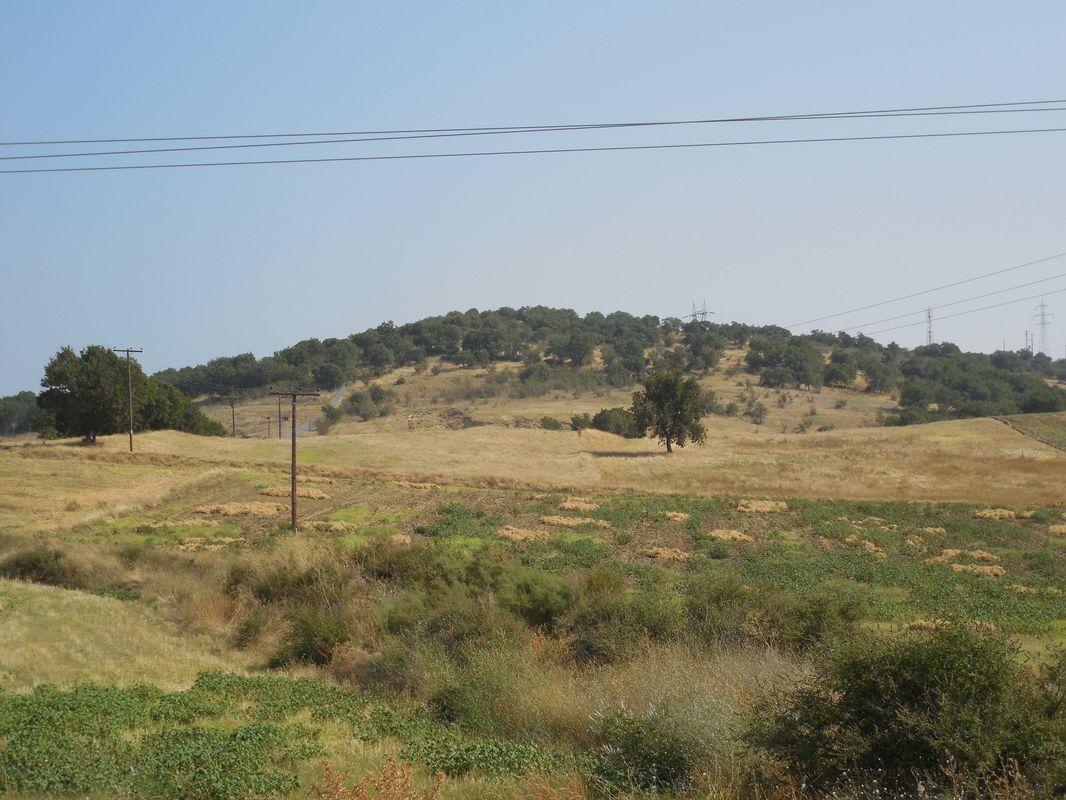 Bild vergr&ouml;ssern