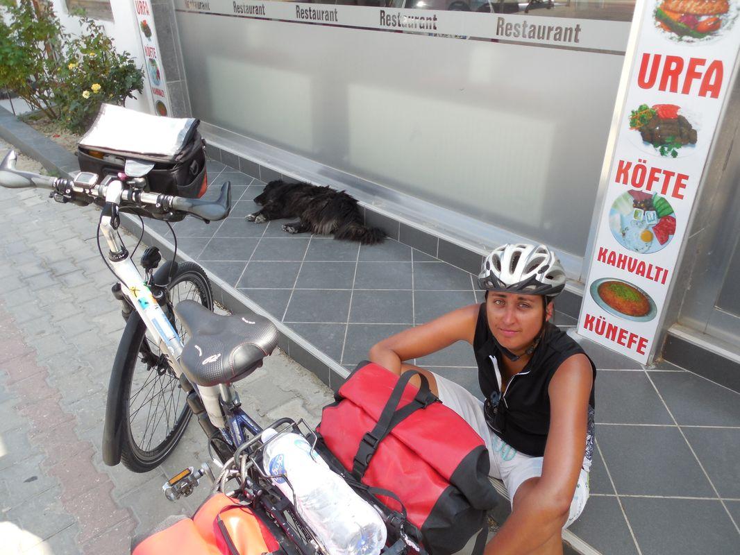 Bild vergr&ouml;ssern