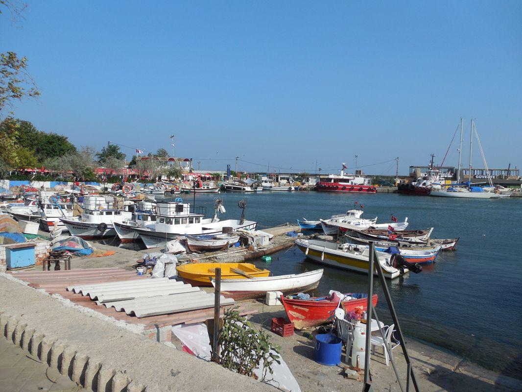 Bild vergr&ouml;ssern