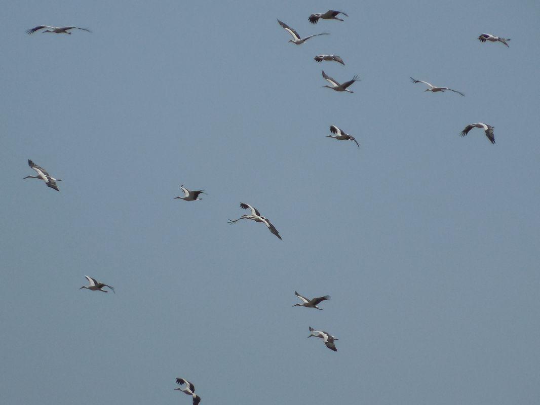 Bild vergr&ouml;ssern