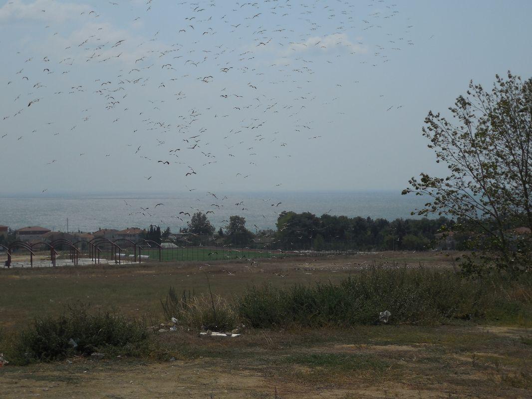 Bild vergr&ouml;ssern