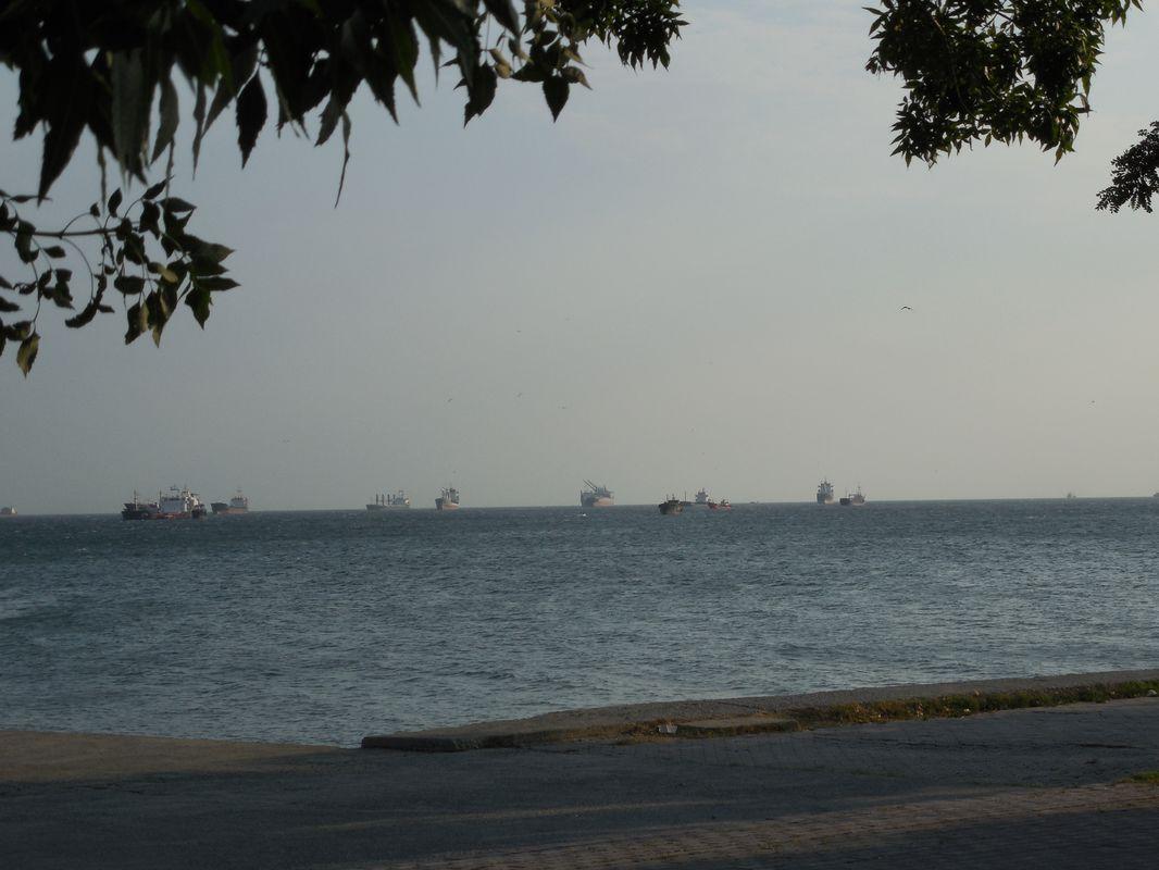 Bild vergr&ouml;ssern