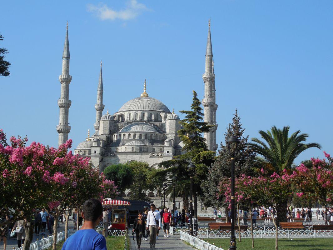 Bild vergr&ouml;ssern