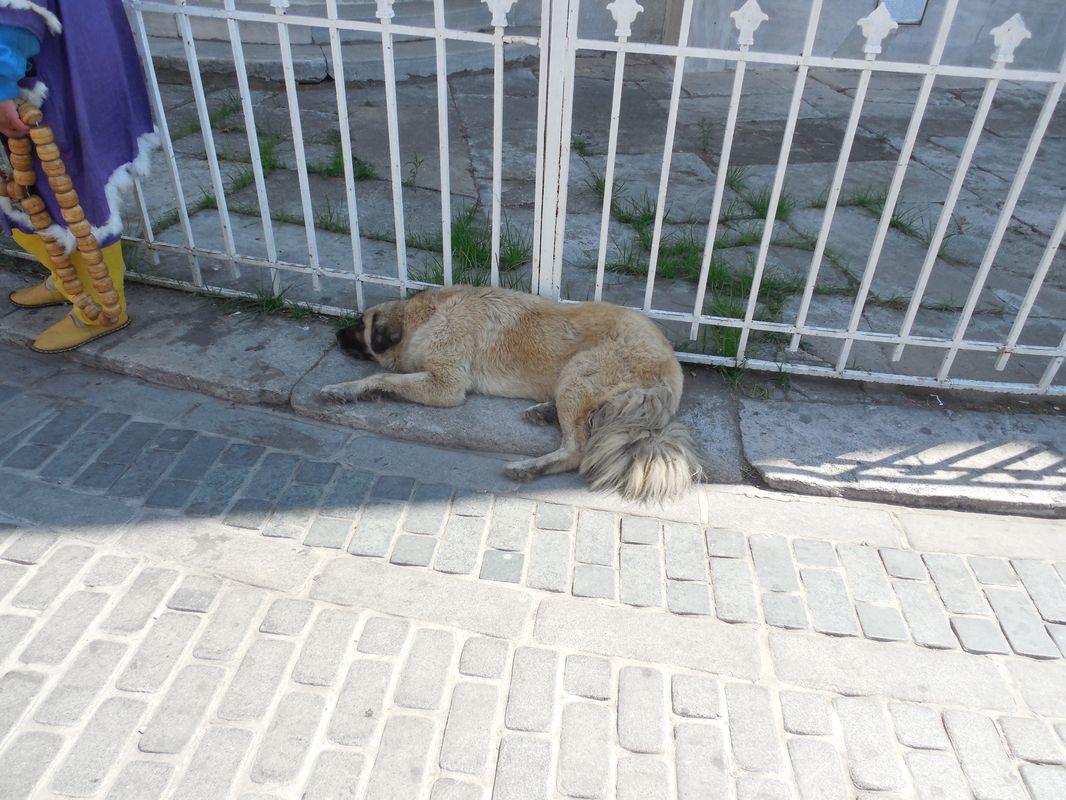 Bild vergr&ouml;ssern