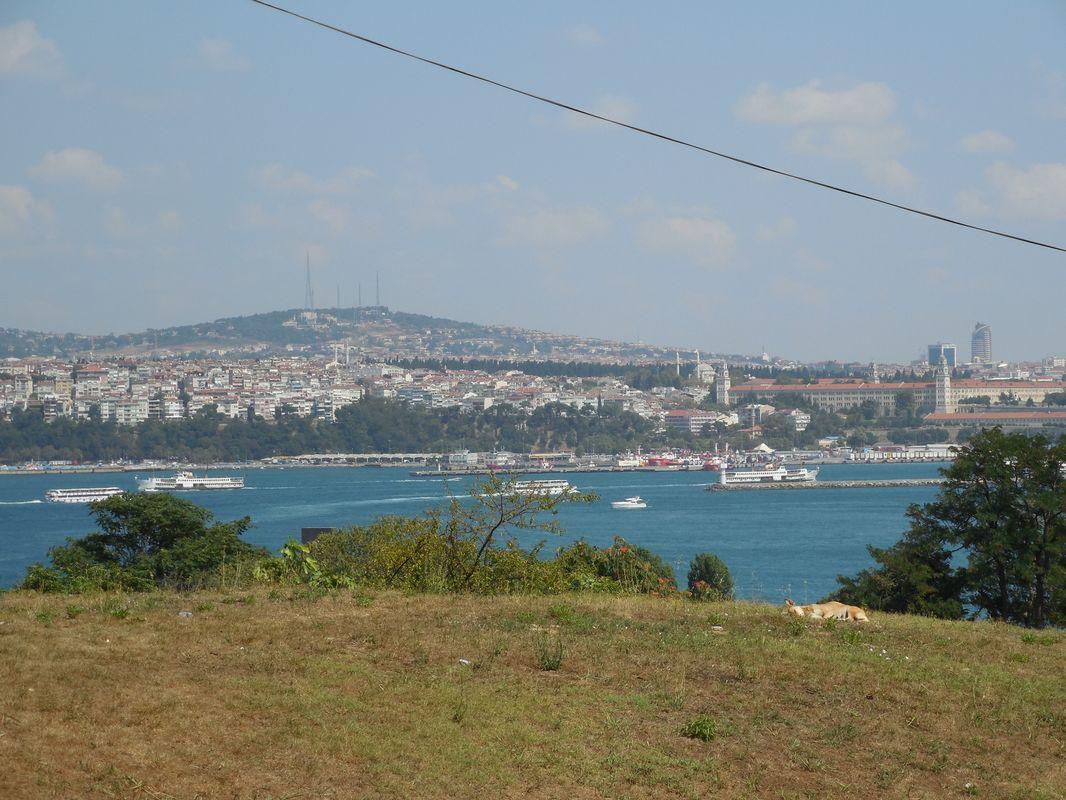 Bild vergr&ouml;ssern