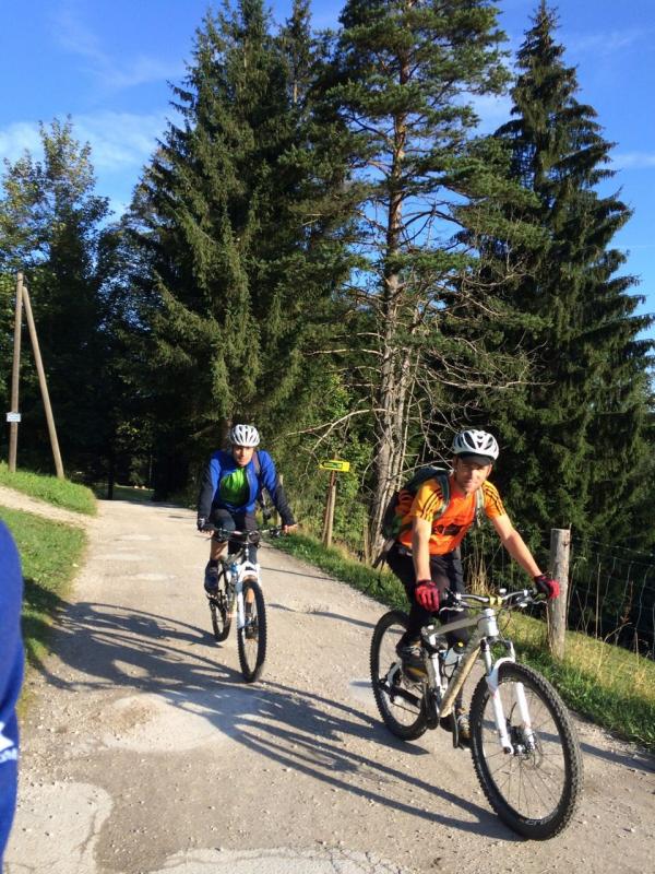 Bild vergr&ouml;ssern