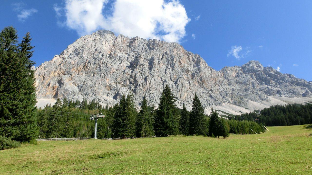 Bild vergr&ouml;ssern