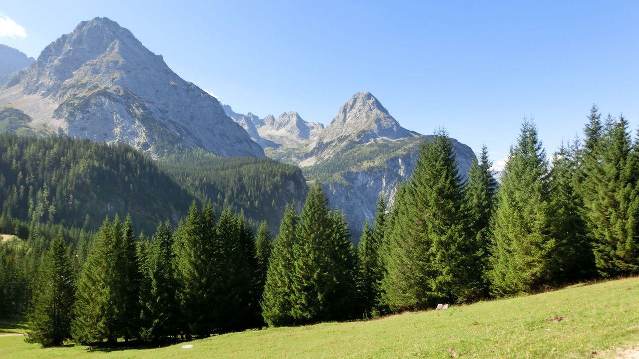 Bild vergr&ouml;ssern