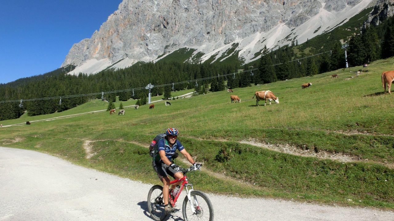 Bild vergr&ouml;ssern